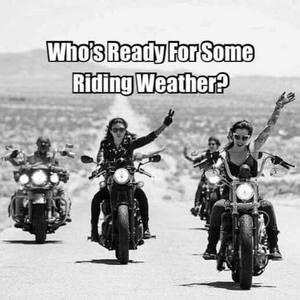 Meet your Posher, Amie